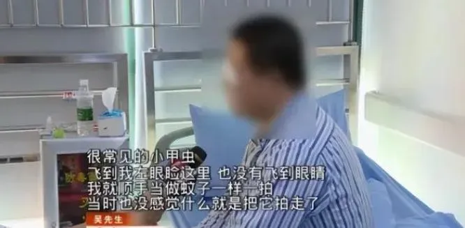 吳先生因拍死蛾蚋導致左眼球感染得摘除。(圖/翻攝澎湃新聞)