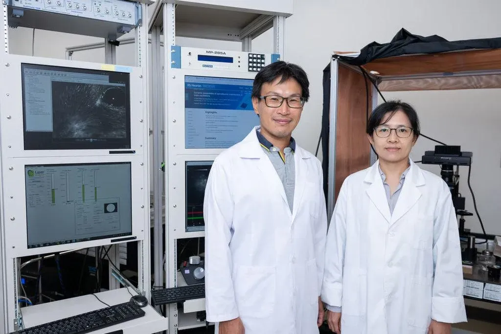陽明交通大學神經科學研究所助理教授陳摘文（左）、林貝容（右）。（圖／陽明交大提供）