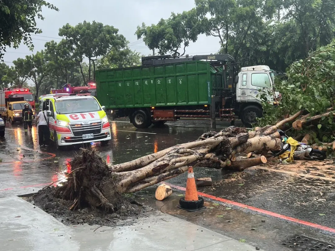 高雄市鳳山區建國路一段67巷口24日中午左右發生一起路樹壓倒女騎士的意外。（圖／翻攝畫面）