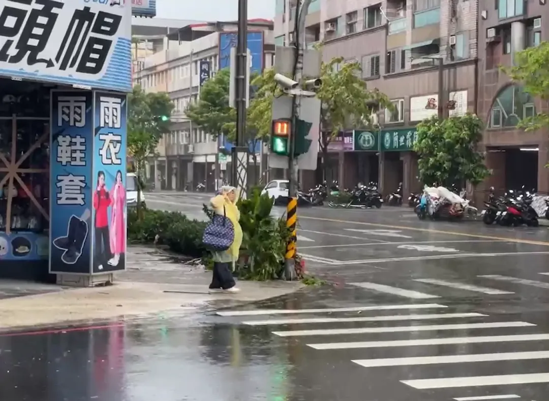 和平村路樹吹得東倒西歪，路上只剩零星車輛還在逆風行駛。（圖／中天新聞）