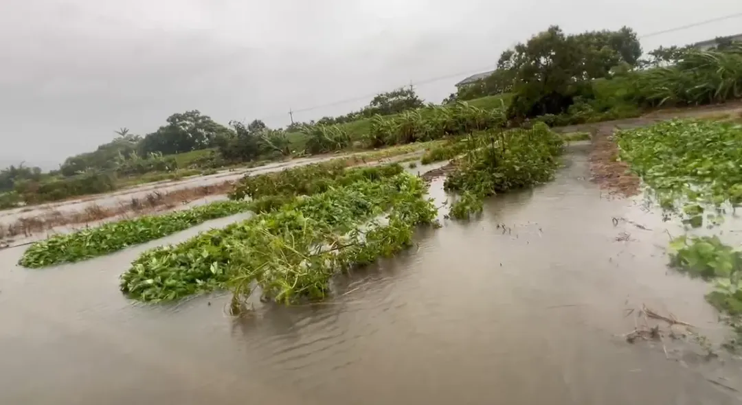 ，病媒蚊指數常在雨後1週上升，今年登革熱境外移入高於5年同期，打掃家園清除積水容器，也要留意天溝及屋後溝死角。（圖／資料庫）