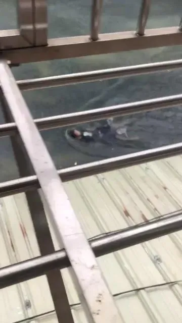 有民眾因為家中遭大水淹沒，因此苦中作樂在游泳。（圖／翻攝畫面）