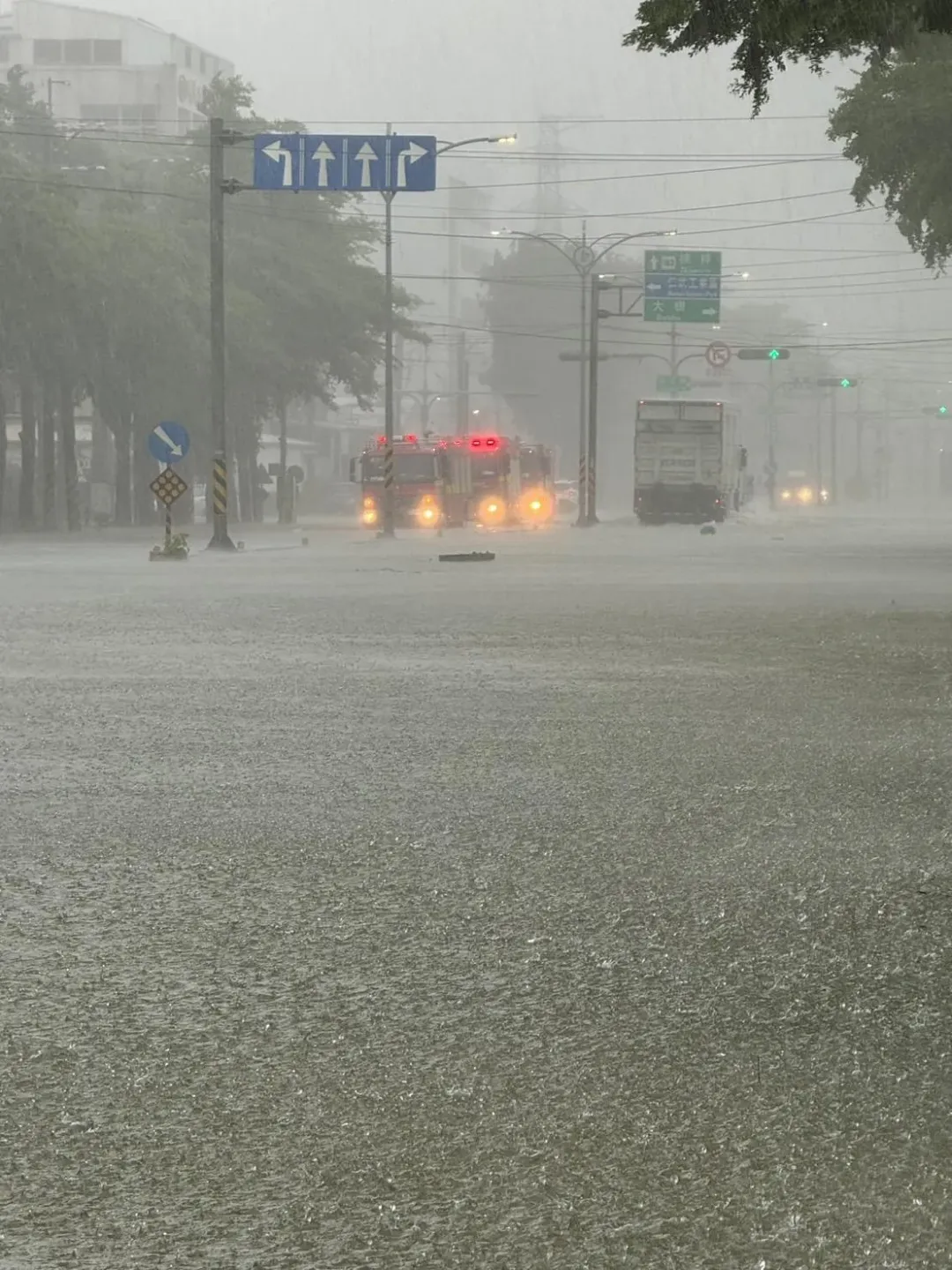 凱米颱風造成高雄淹水嚴重。(圖/林岱樺服務處提供)