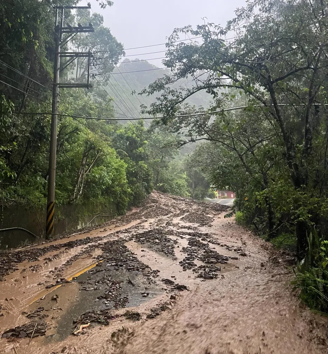 奧萬大園區的聯外道路3K處遭泥流侵襲。(圖/林業保育署南投分署提供)