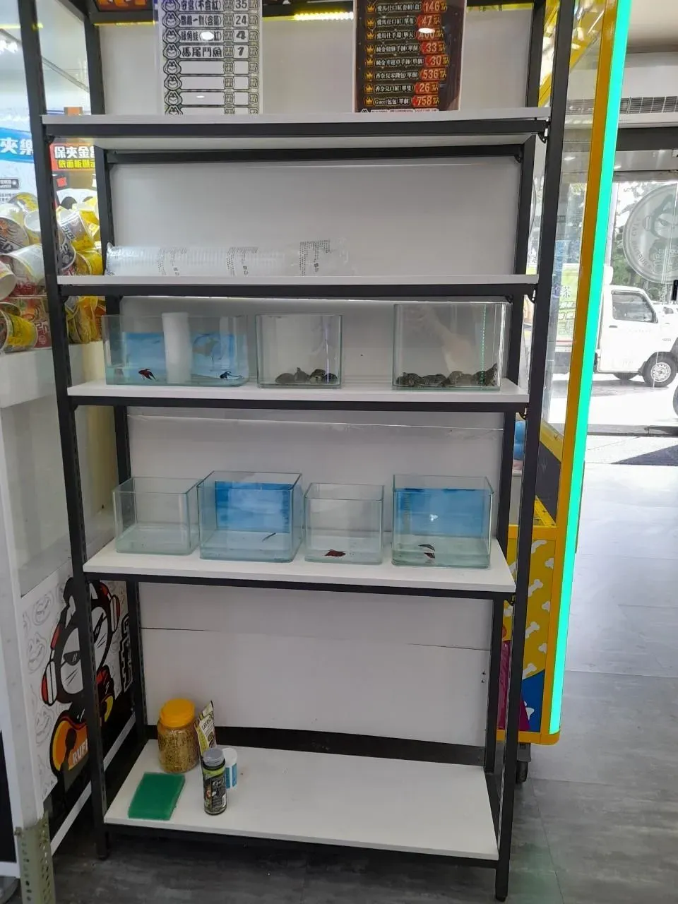 業者把腦筋動到寵物上，與寵物店合作，推出「用代夾物換烏龜」的活動。（圖／中天新聞）
