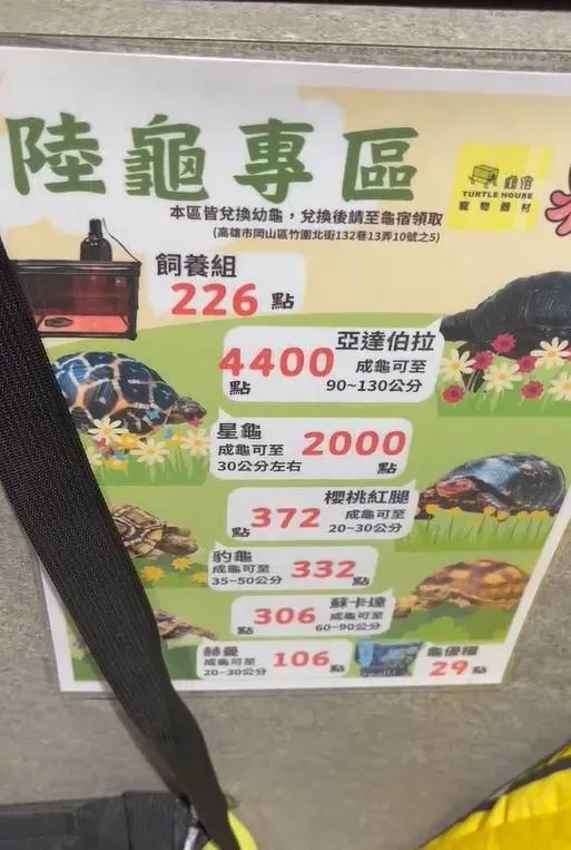 消保會抓出有4間業者兌換寵物的品種中，居然出現雅達伯拉象龜、豹龜等保育類動物。（圖／中天新聞）