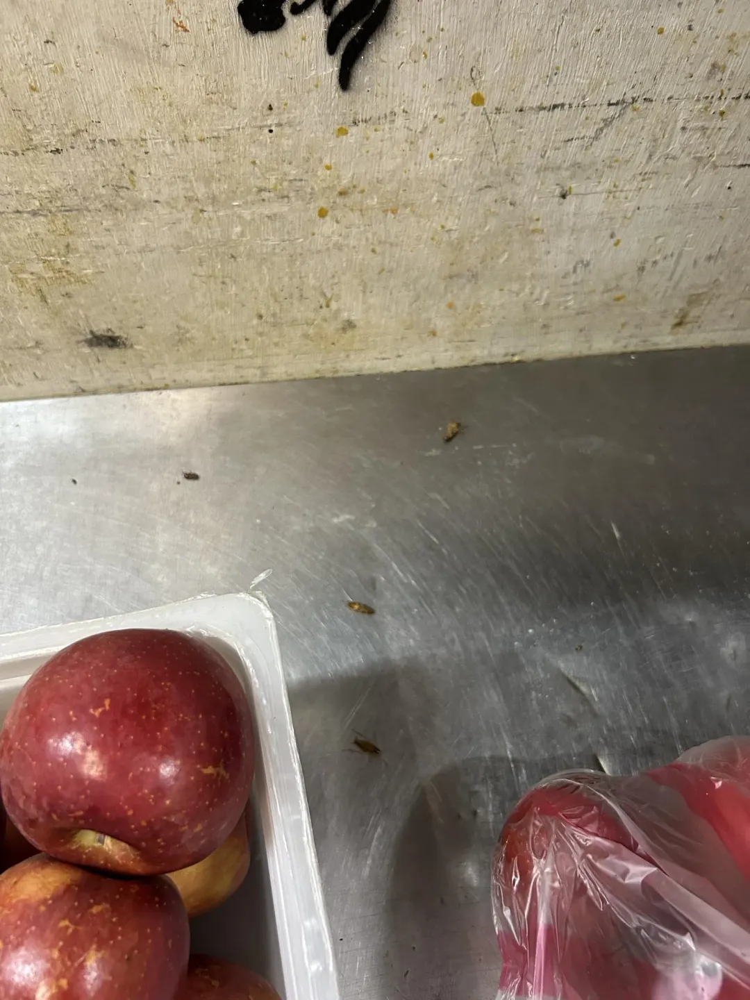 蘋果旁一堆小強。（圖／翻攝自新竹爆料公社）