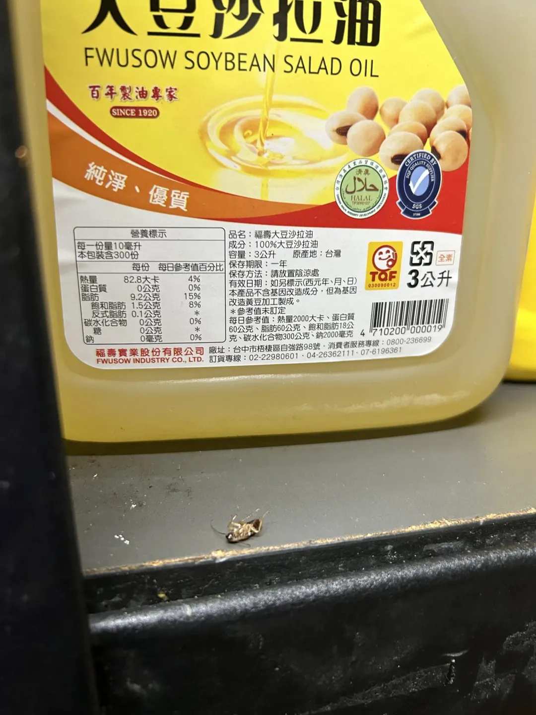廚房處處可見蟑螂。（圖／翻攝自新竹爆料公社）
