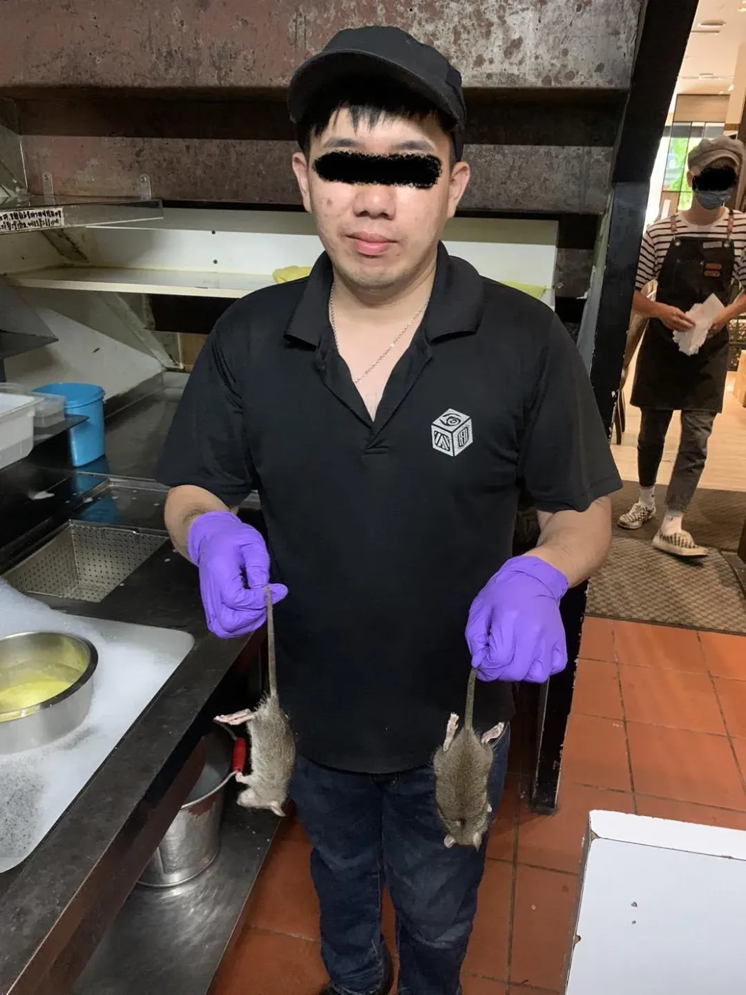 員工捕捉兩隻老鼠。（圖／翻攝自新竹爆料公社）