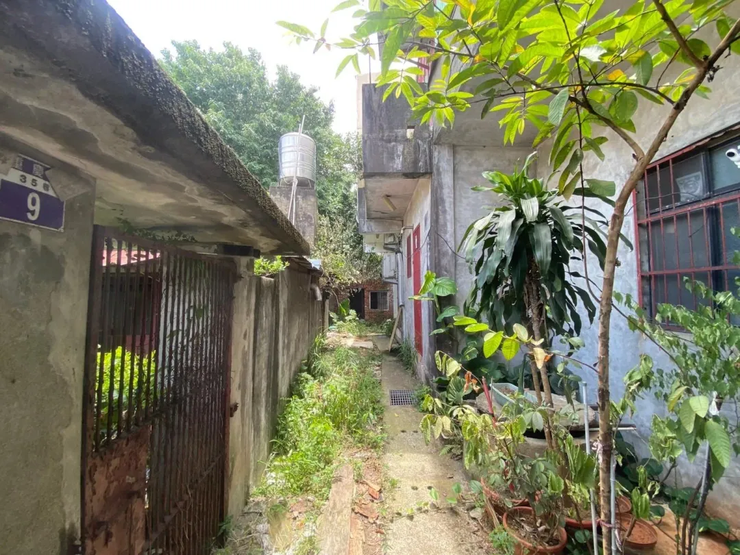 早年軍眷早已搬出不少閒置破舊房舍(圖／桃園市都發局提供）