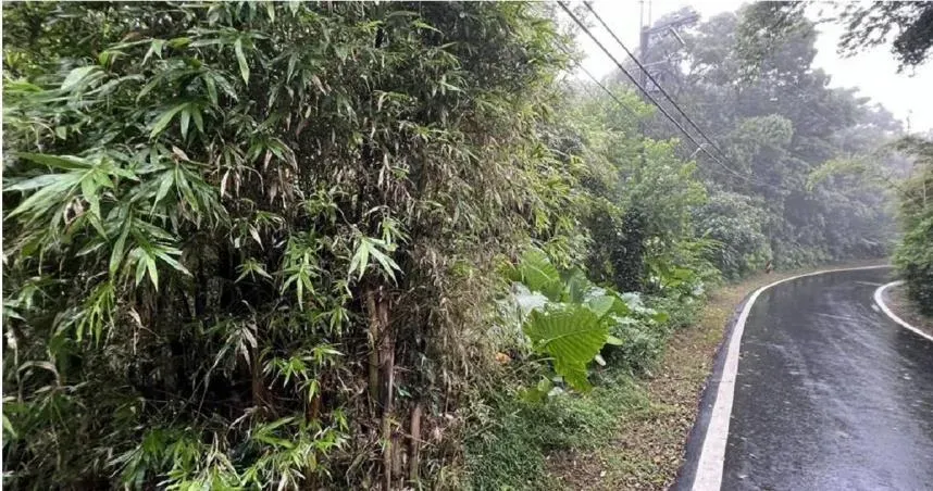 桃園市龜山區1996年發現箱屍命案,全案直到2023年才偵破,但因已過追訴期而主能給予不起訴處分。(圖/翻攝畫面)