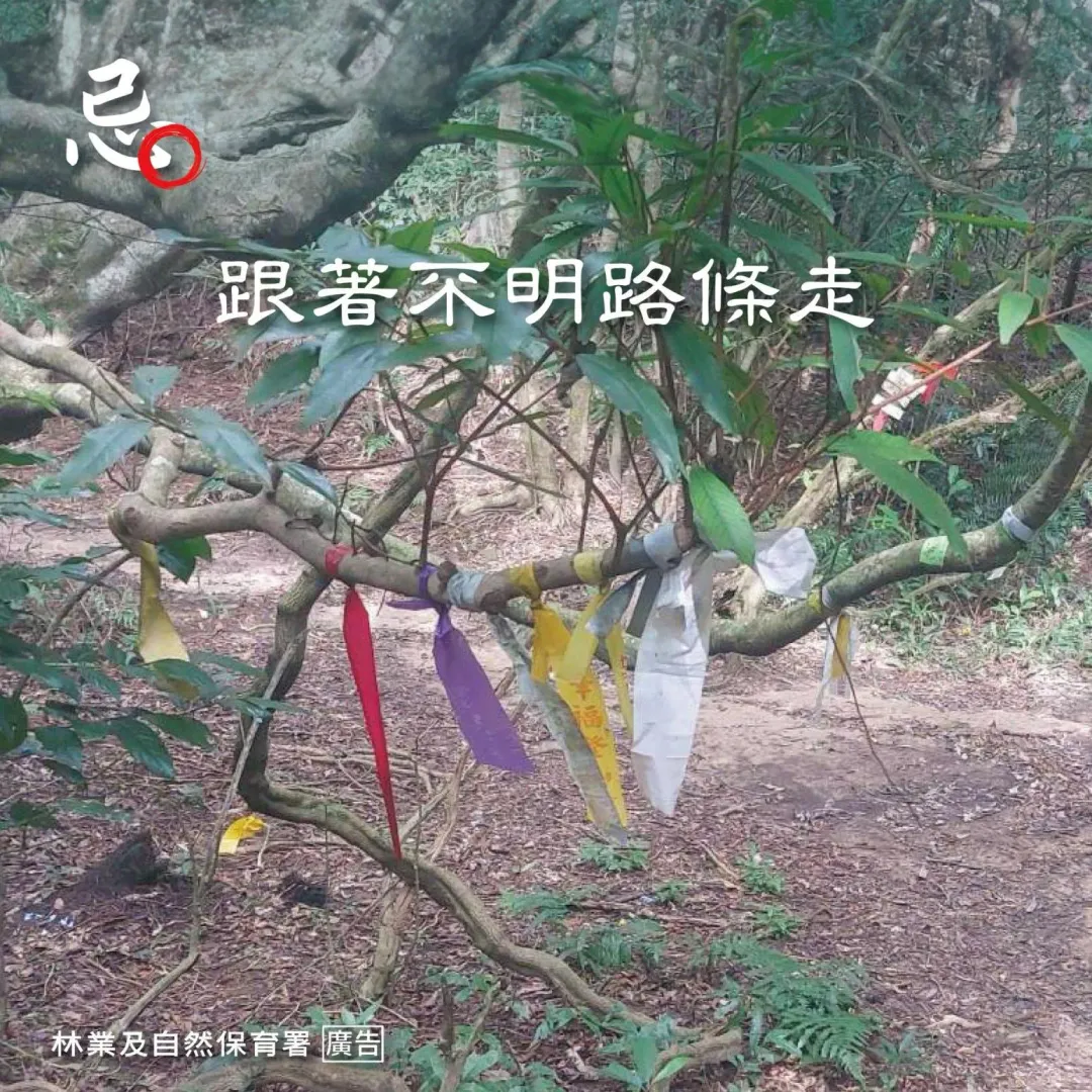 林業保育署提醒，登山時別「跟著不明路條走」。（圖／林業保育署提供）