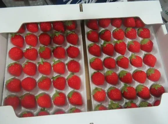 由「慕果生鮮水菓行」自日本輸入的「鮮草莓」，被檢出殘留農藥Fenhexamid0.2ppm、賜派滅0.1ppm、阿納寧0.02ppm。