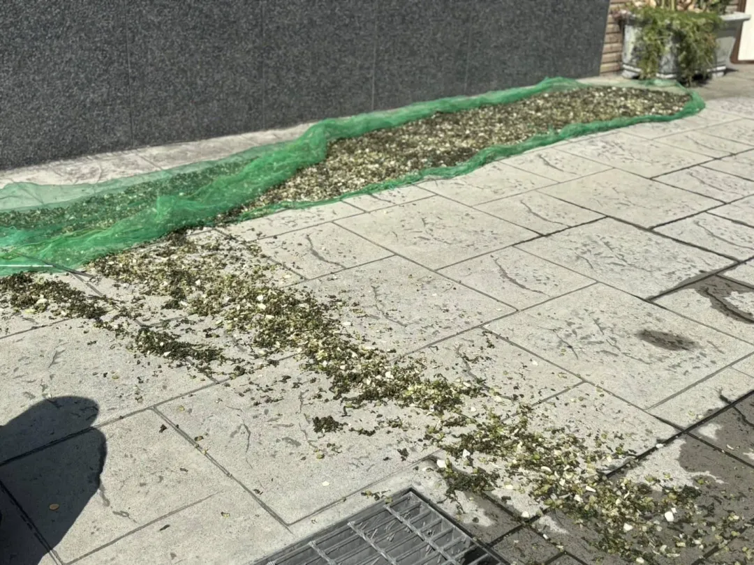 曬梅干菜的網子被掀翻。(圖/翻攝畫面)