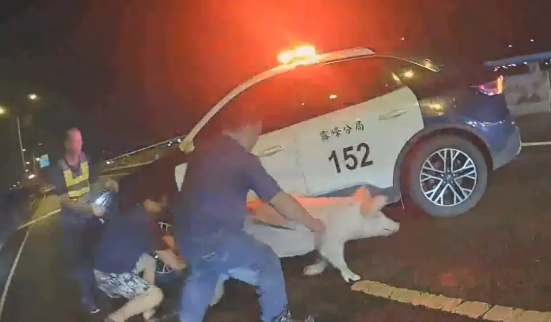 二師兄拼命逃竄,辛苦警方與勤務人員。(圖/警方提供)