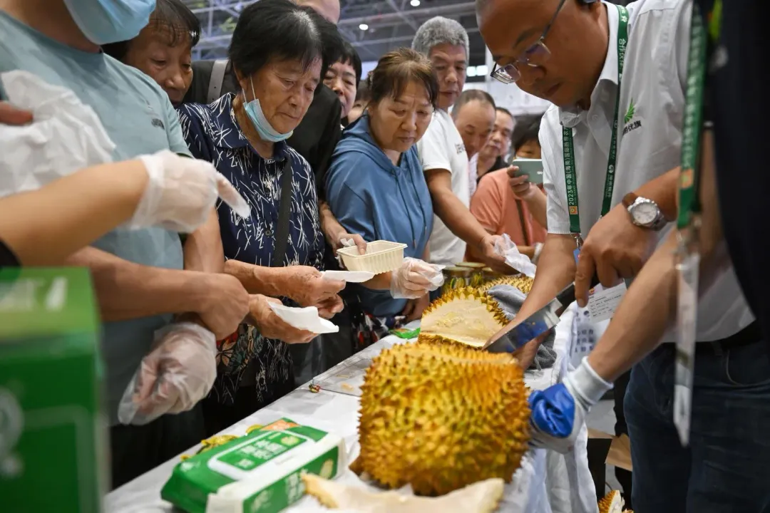 大陸民眾排隊等品嘗海南產的榴槤（圖／新華社）