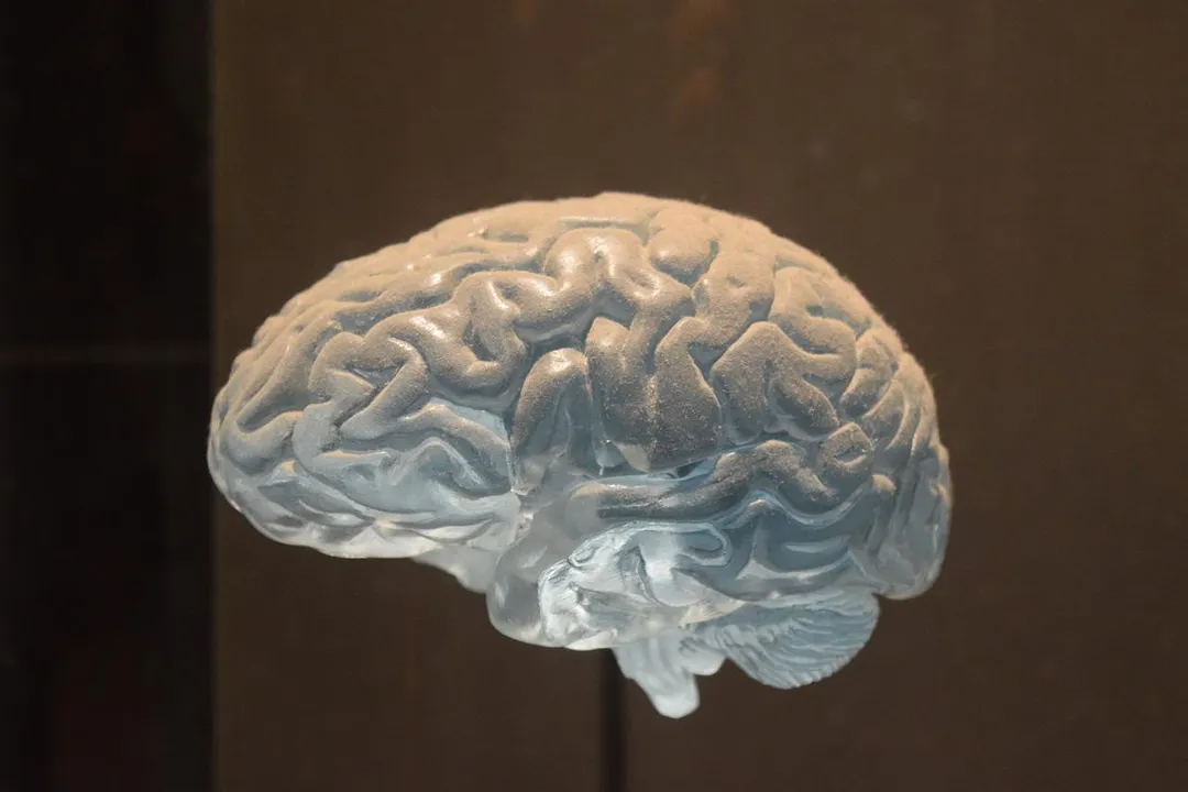 短暫的午睡可以彌補夜間睡眠不足,促進T細胞的活性,增強身體對抗病毒和細菌的能力。(示意圖/Pixabay)