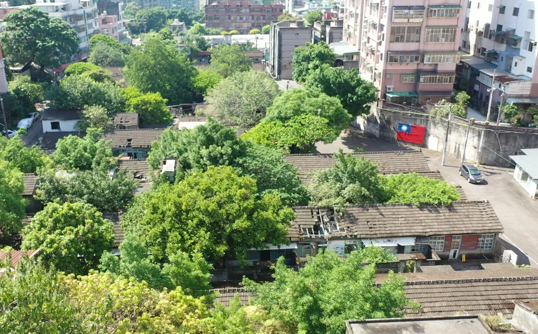 今年桃園地景藝術節以「迴．龜」為主題，呼應龜山丘陵地形並點出山谷間形成大小聚落。（圖／中天新聞）