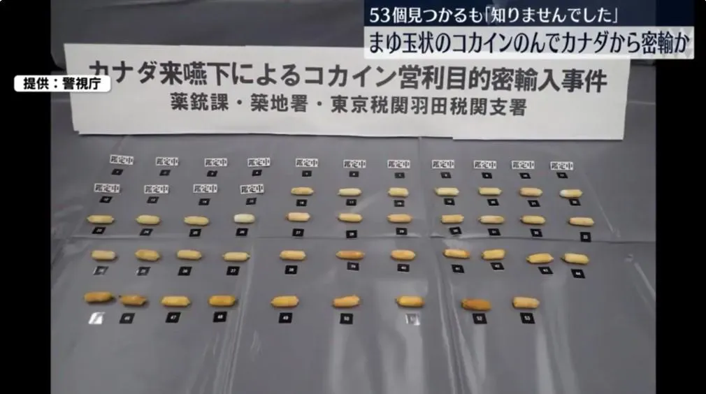 28歲日男小林涼吞了53包繭狀古柯鹼企圖從加拿大走私入境日本(圖/翻攝NNN)