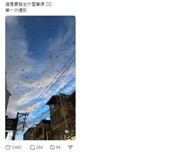 燕子在天空中飛舞，讓網友不解。（圖／Threads網友yugws_授權提供）