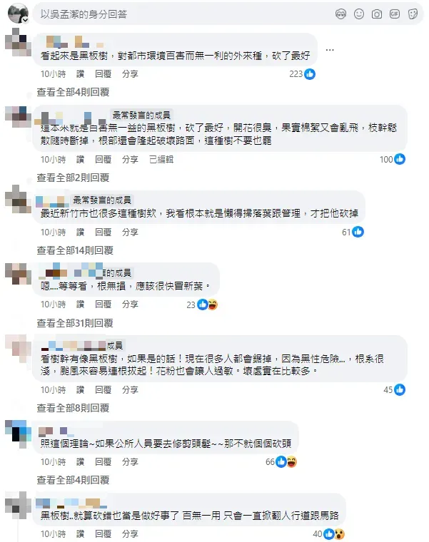 網友留言。（圖／翻攝自臉書「路上觀察學院」）