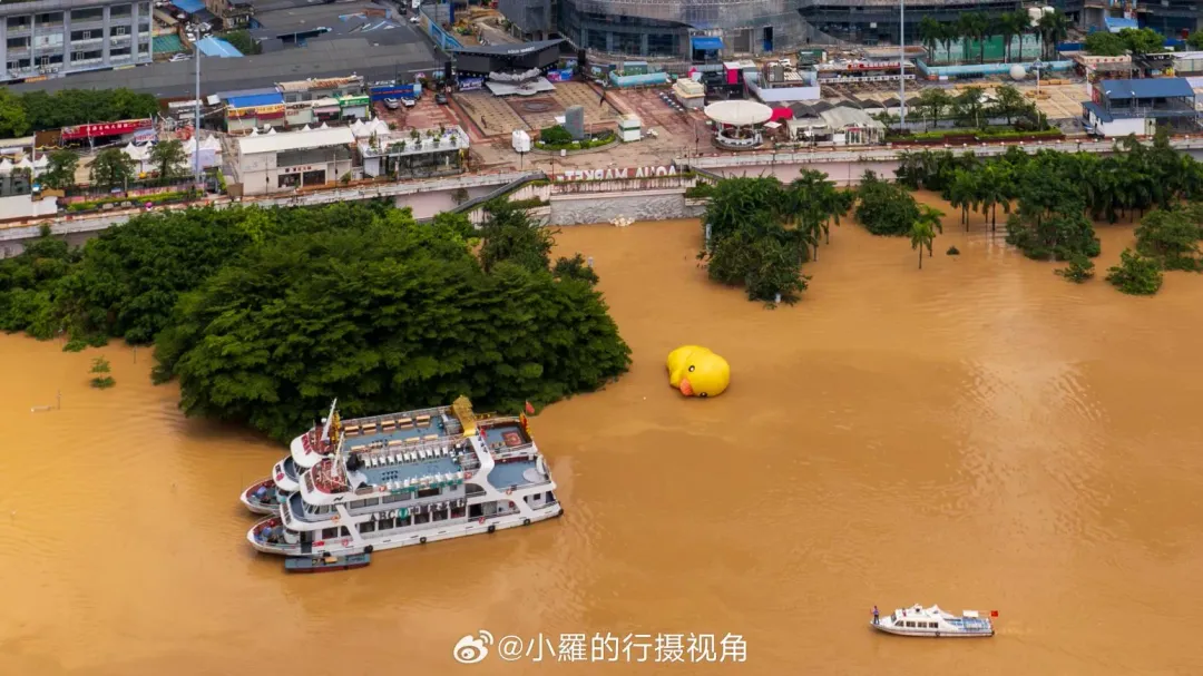有當地網友在社群平台分享災情,照片顯示當地著名的網紅「小黃鴨」也在洪水中倒下。(圖/翻攝自微博)