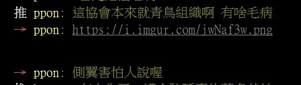 網友質疑記協組織與綠營關係密切。（圖／截取自PTT網站留言）