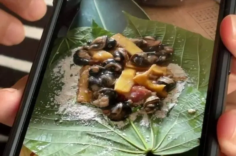 台東金峰鄉南迴線賓茂及壢坵部落多人疑似食用「蝸牛小米粽」中毒。(圖/翻攝畫面)