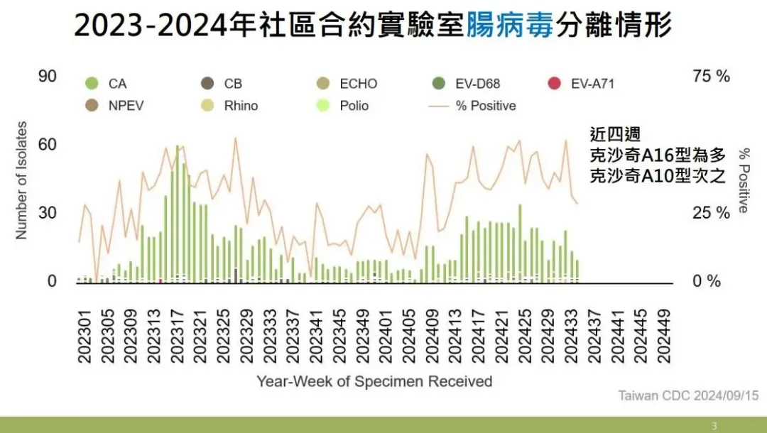 近四週實驗室監測顯示腸病毒以克沙奇A16型為多，克沙奇A10型次之。（圖／疾管署提供）