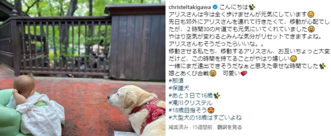 瀧川多次在IG大秀小孩與愛犬愛麗絲的照片（圖／翻攝瀧川雅美IG）