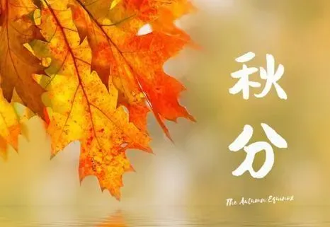 9/22開16天是「秋分」。(示意圖/百度)