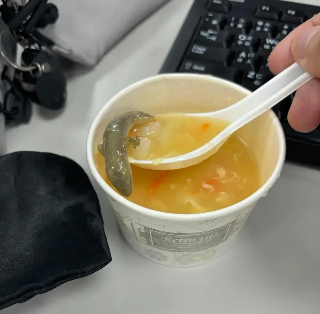 高雄有位網友到湯包店買餐點果腹,竟在玉米濃湯裡撈到1隻完整的大壁虎。(圖/翻攝自Threads)
