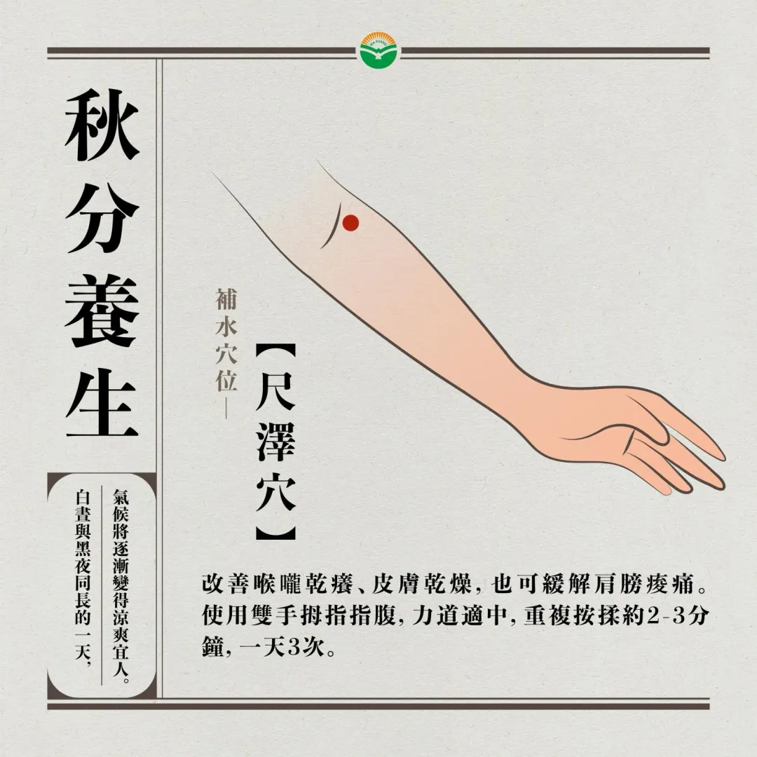 尺澤穴。(圖/馬光醫療網)