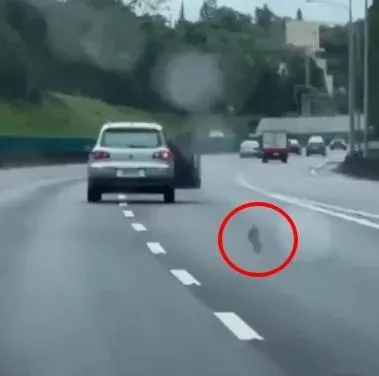 乘客竟然從車內丟下疑似鞋子的物品，後方駕駛險遭擊落。（圖／翻攝畫面）