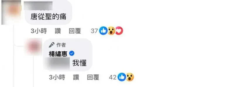 楊繡惠表示她懂唐從聖的痛。（圖／楊繡惠臉書）