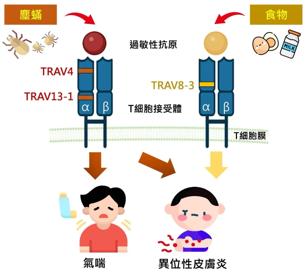 邱志勇醫師的研究團隊，利用次世代基因定序（NGS）揭開兒童過敏反應的基因密碼。（圖／邱志勇醫師提供）