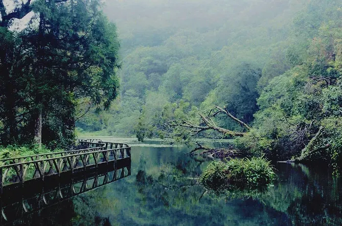 「福山植物園」因颱風來襲，下起間歇性大雨，明天(9/30)至下週三(10/2)實施預警性休園3天。（圖／翻攝自交通部觀光署網站）