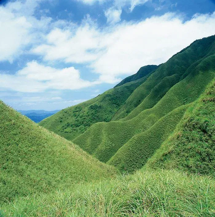 聖母登山步道草原。（圖／農業部林業及自然保育署宜蘭分署提供）