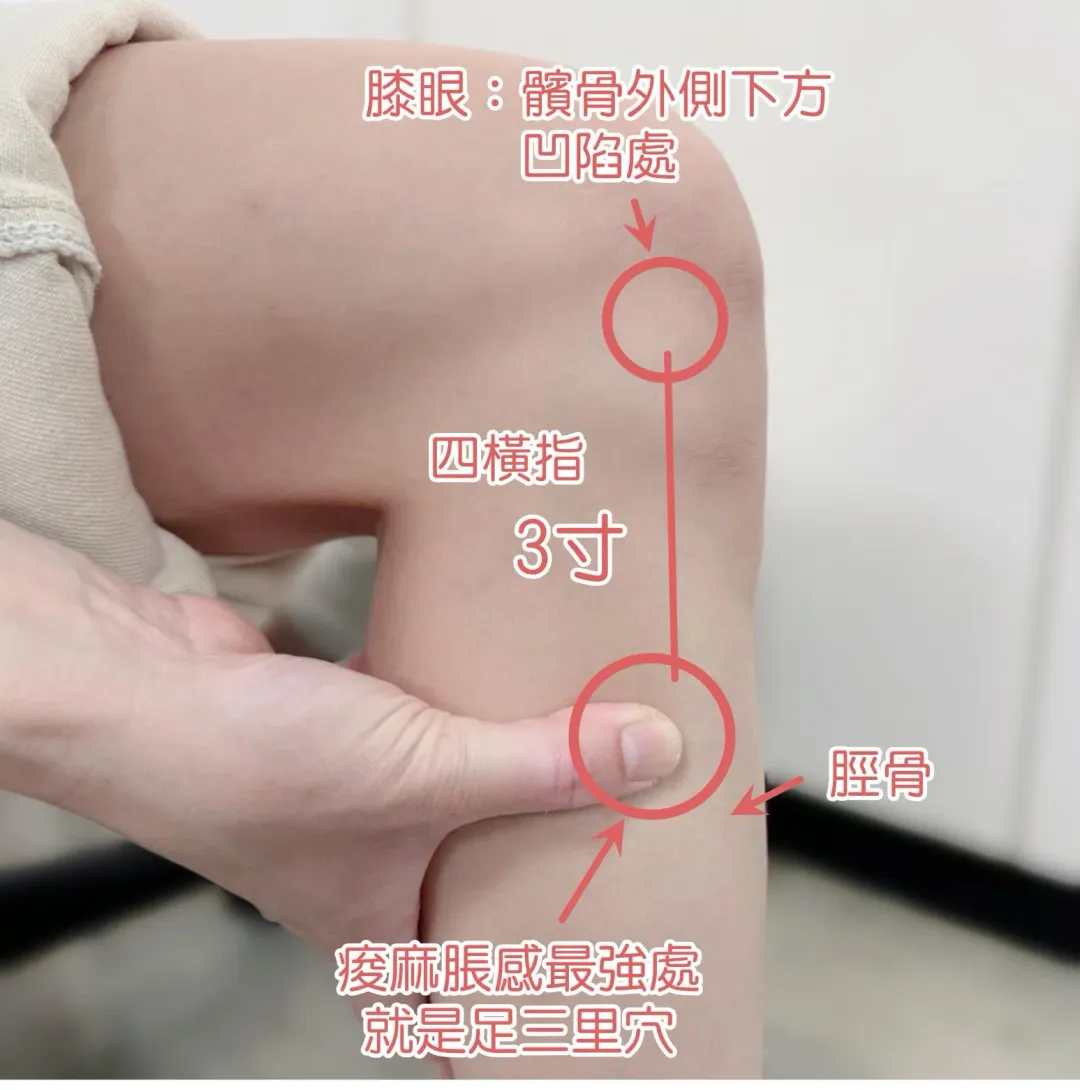 足三里。（圖／南投醫院提供）