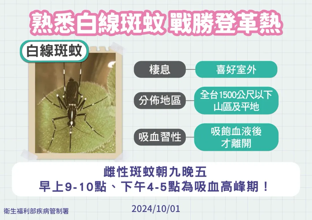 今（2024）年截至9/30累計223例本土登革熱確診病例。（圖／疾管署提供）