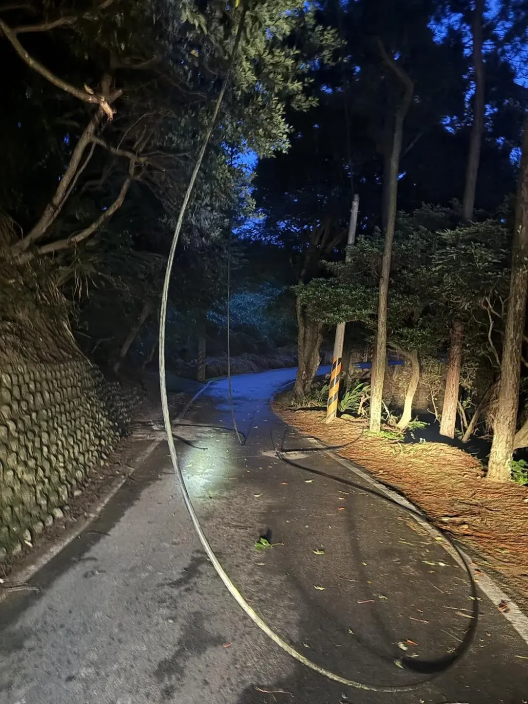 新竹縣新埔地區因樹木倒塌壓斷高壓纜線,導致饋線跳脫停電,造成附近125戶停電。(圖/中天新聞)