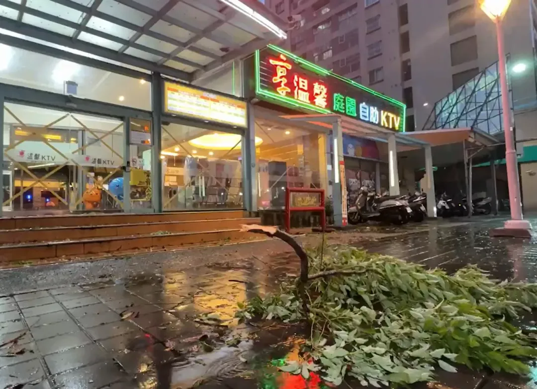 該間KTV外也有路樹被吹倒在路邊，可見風力之大。（圖／中天新聞）