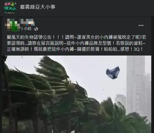 另1位網友3日下午在嘉義地方社團分享同1張圖片,但未指出事發地點。(圖/翻攝自Facebook@嘉義綠豆大小事)