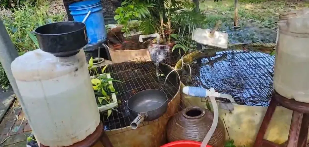 民眾的魚死了多隻，只能克難式用桶子裝水滴落的方式勉強供氧。（圖／中天新聞）