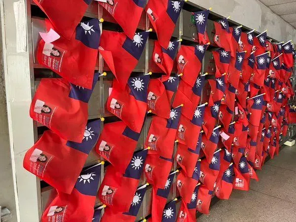 徐巧芯發起「百萬國旗計劃」。（圖／翻攝徐巧芯臉書）
