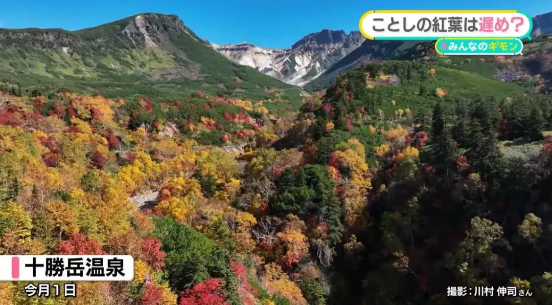 北海道十勝岳溫泉目前已進入賞楓旺季（圖／翻攝NNN）