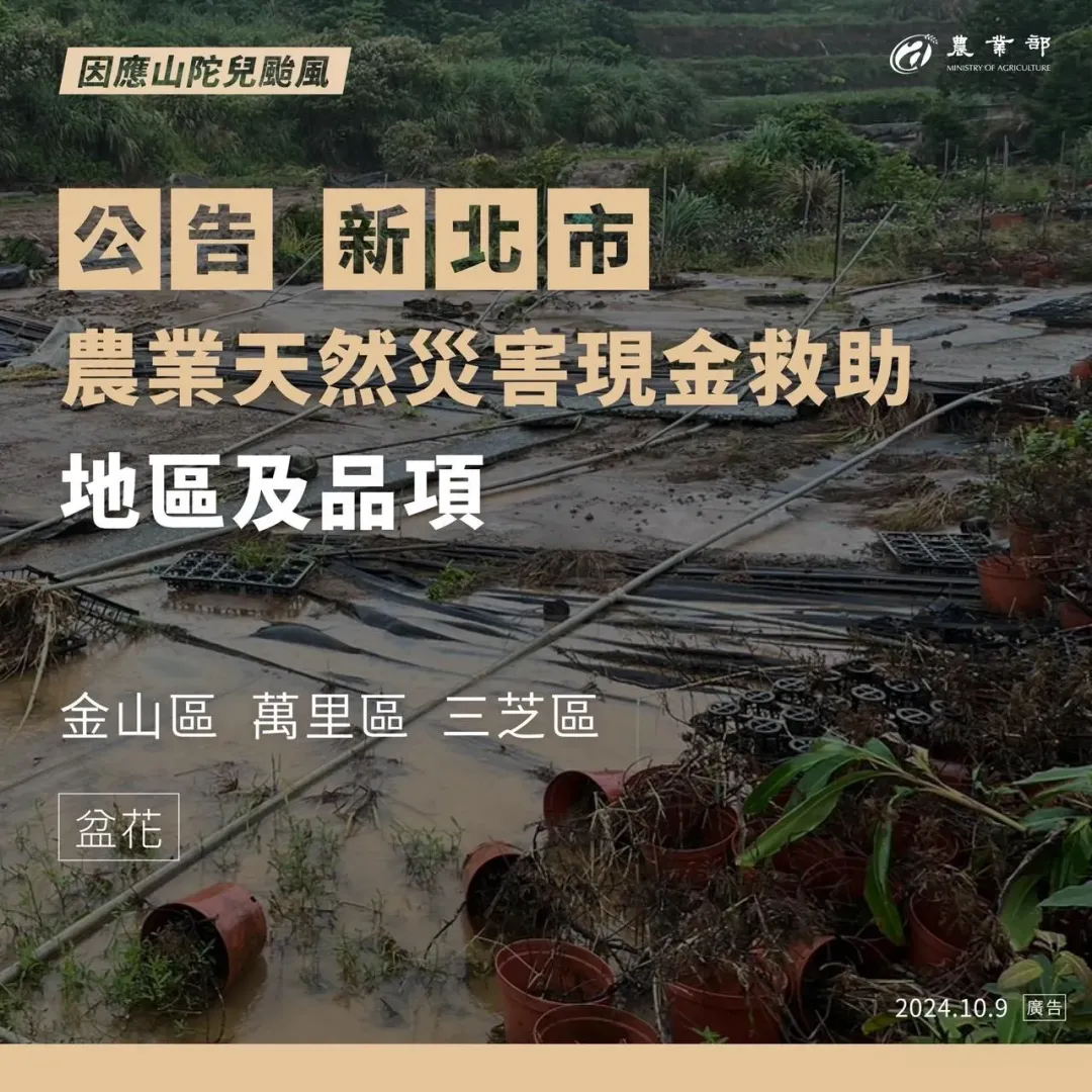 農業部10月9日公告核定本市萬里區、金山區及三芝區為辦理盆花農業天然災害現金救助地區。(圖/農業部提供)