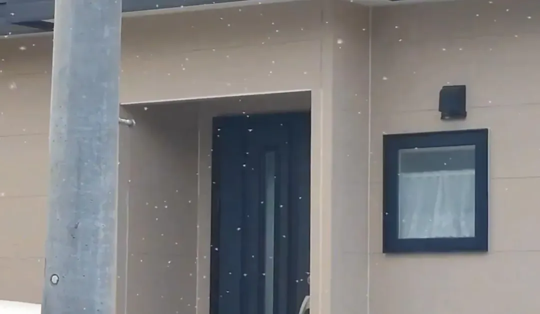 雪蟲。(圖/X)