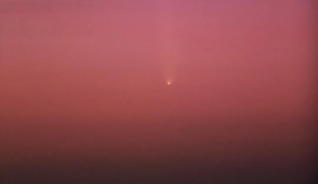 紫金山-阿特拉斯彗星。(圖/台北天文館)