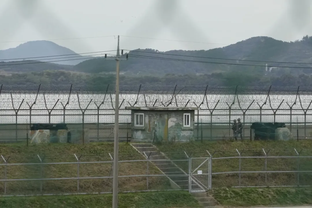 南韓陸軍士兵沿著坡州靠近兩韓邊界的鐵絲網巡邏。（圖／美聯社）